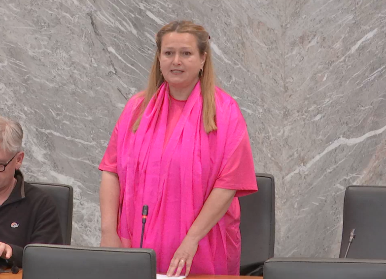 Stevanović: Gospa Grgurevič, prosim vas za malo damske kulture. :)