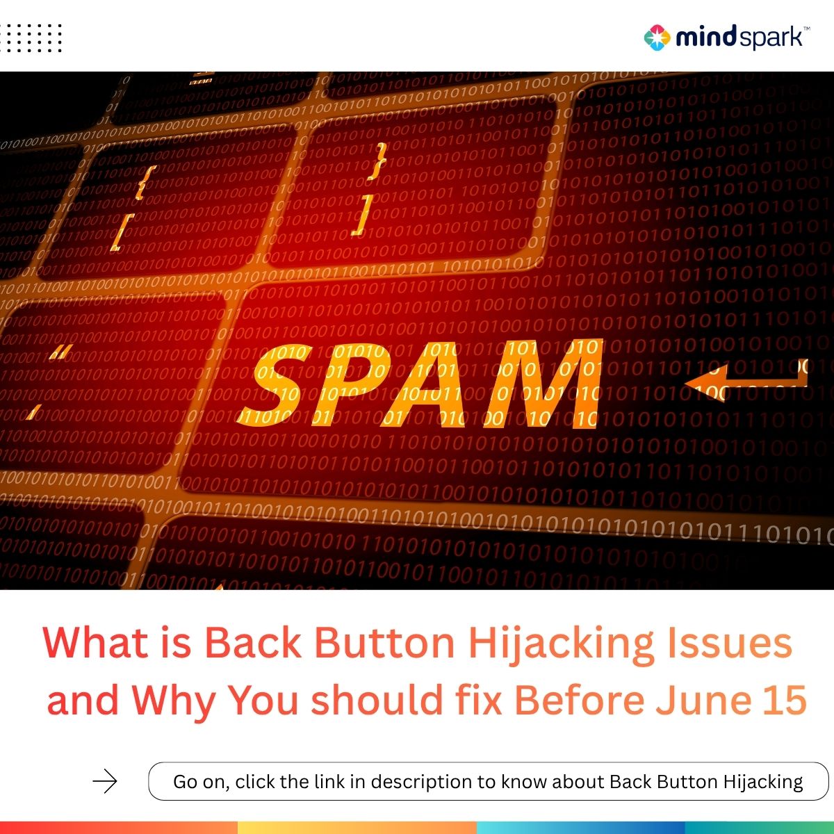 Mind Spark Technologies tweet media