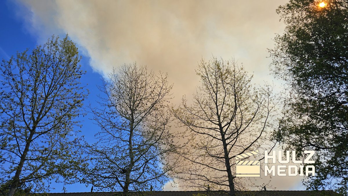 Grote bosbrand aan Koekenbergweg in Epe