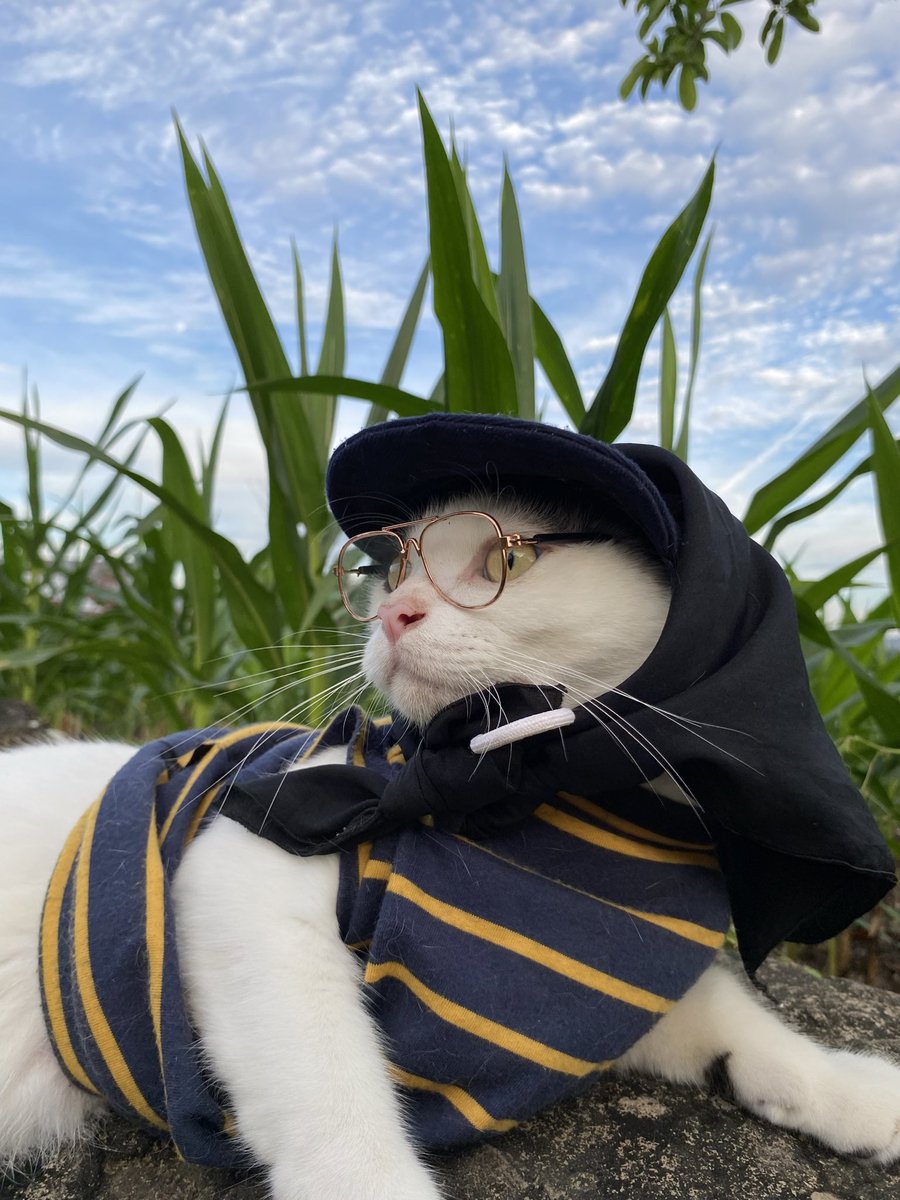 𝙋𝙤𝙣𝙞 😾 tweet media