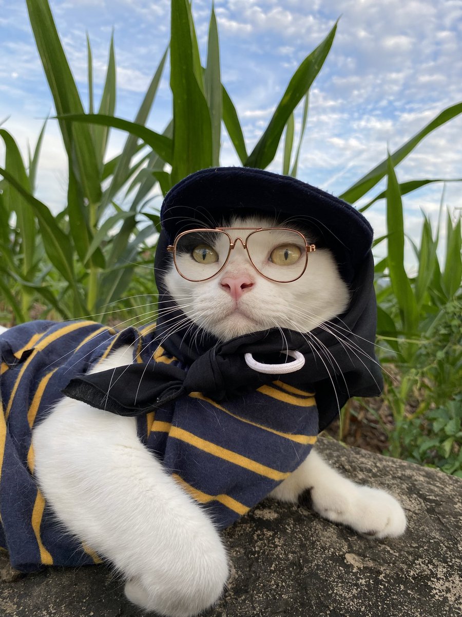 𝙋𝙤𝙣𝙞 😾 tweet media
