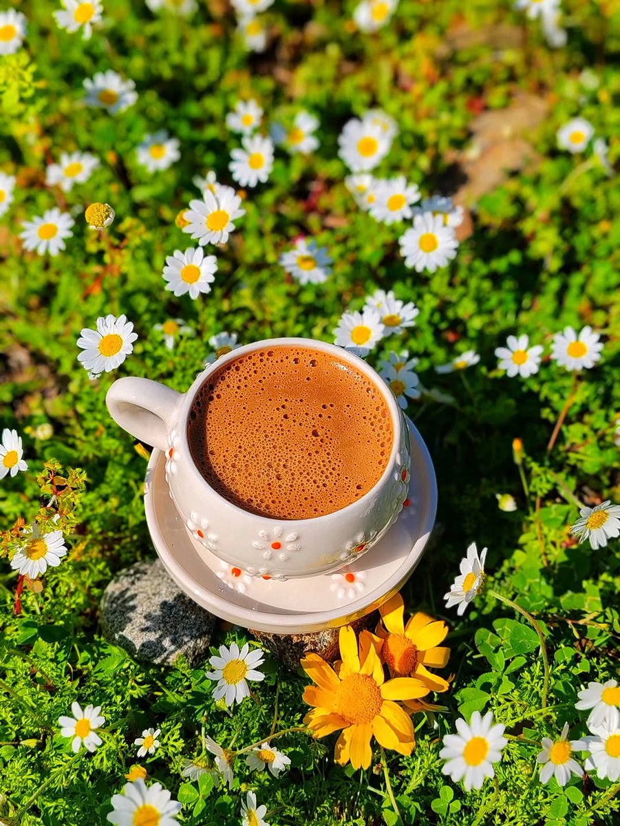 ☕︎ ❥ 𝑵𖣠o̶r̲̅ ♪♩ ❥❁ ☕︎ tweet media