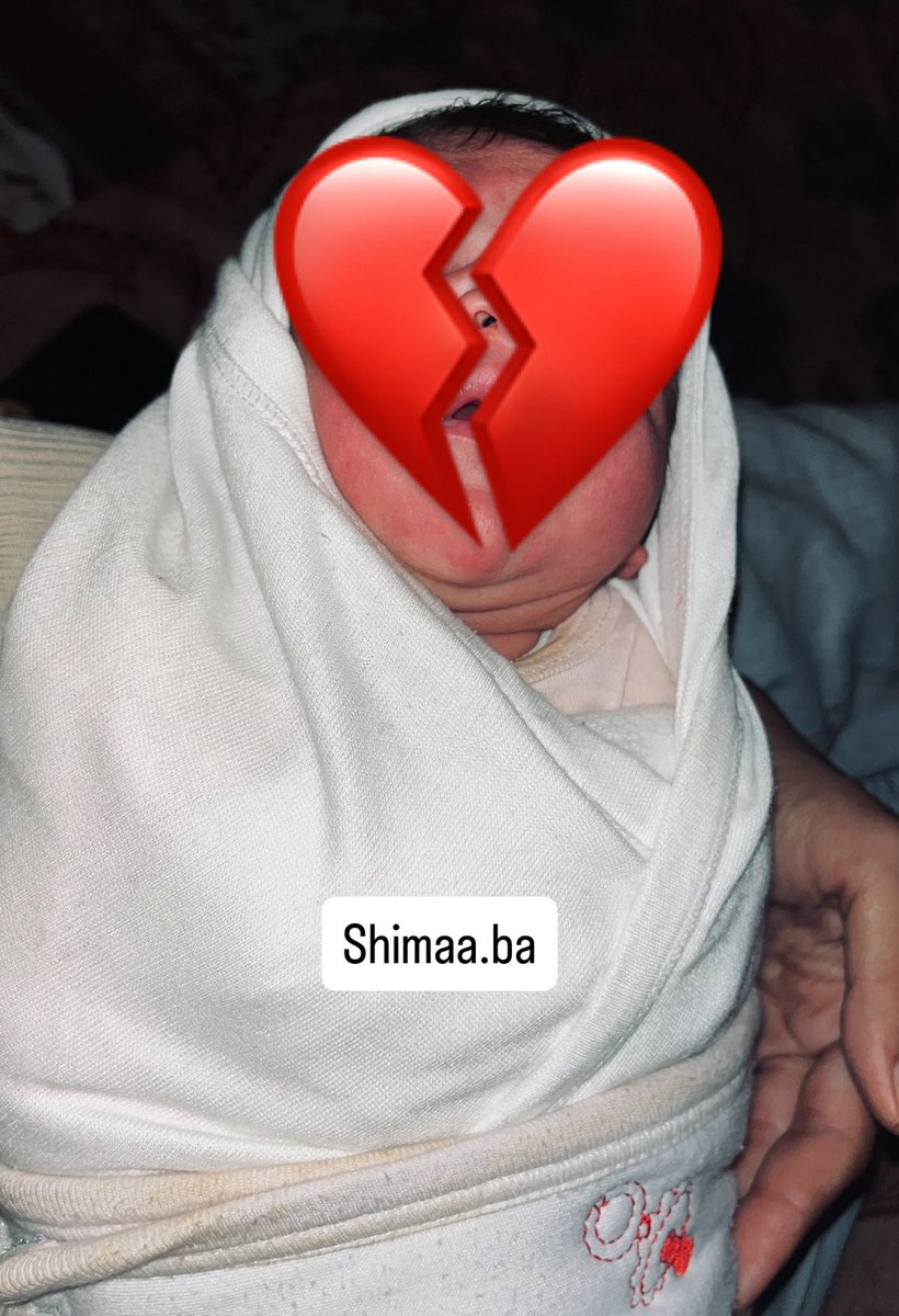 Shimaa Bassam tweet media