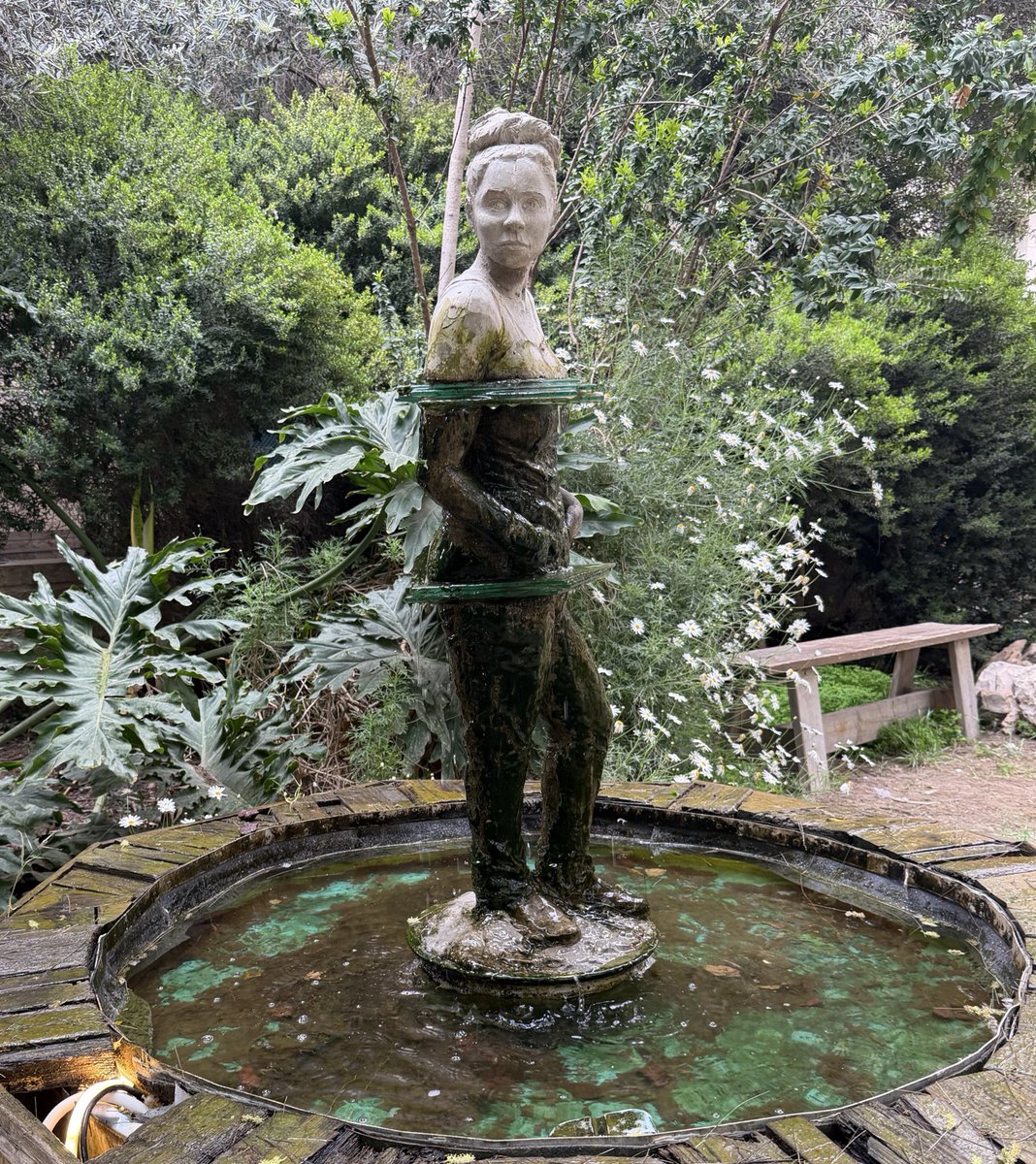 יעקב מתן tweet media