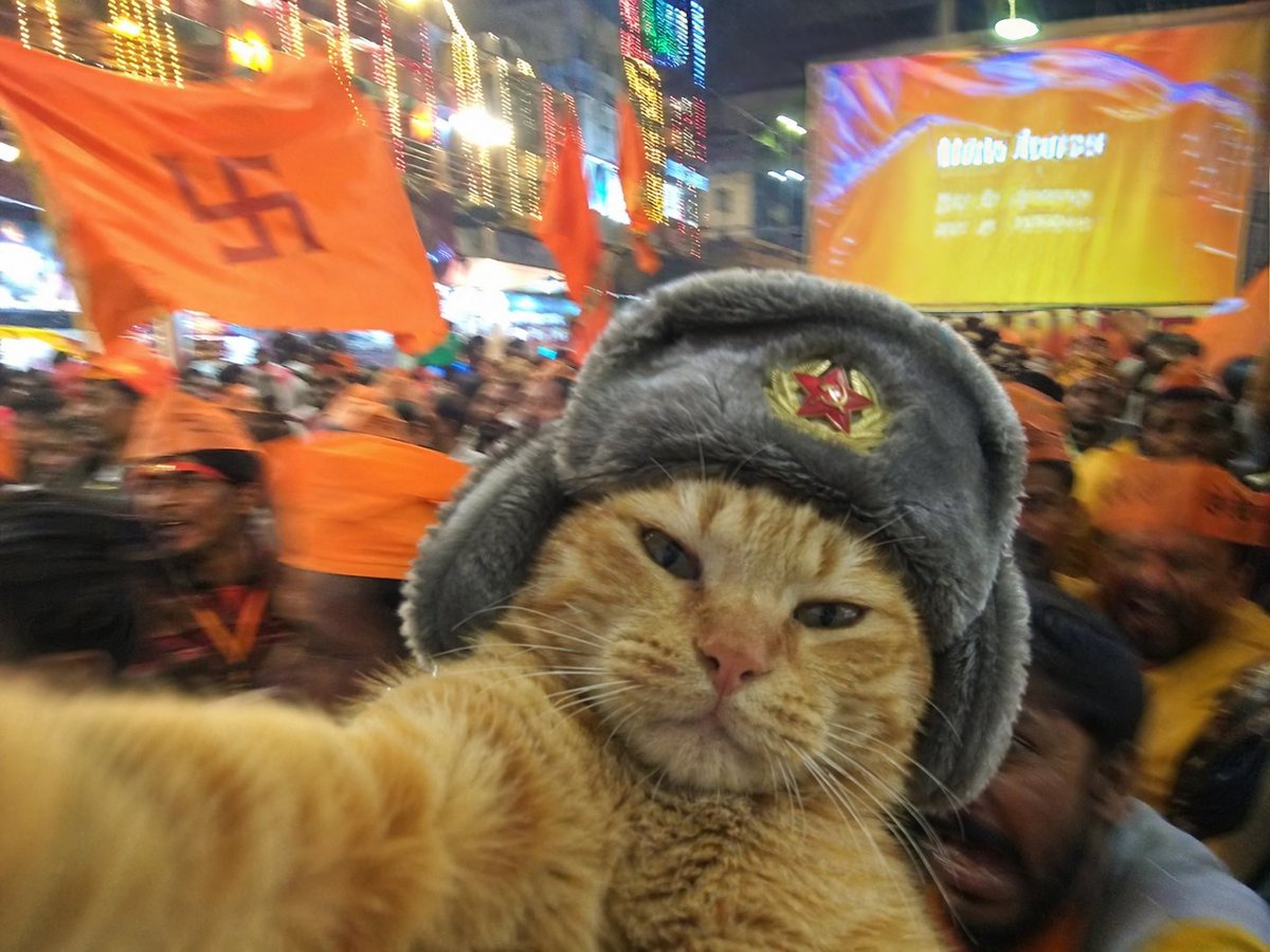 ānucintana tweet media