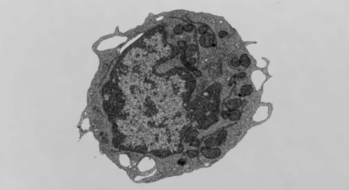 ナゾロジー@科学ニュースメディア tweet media