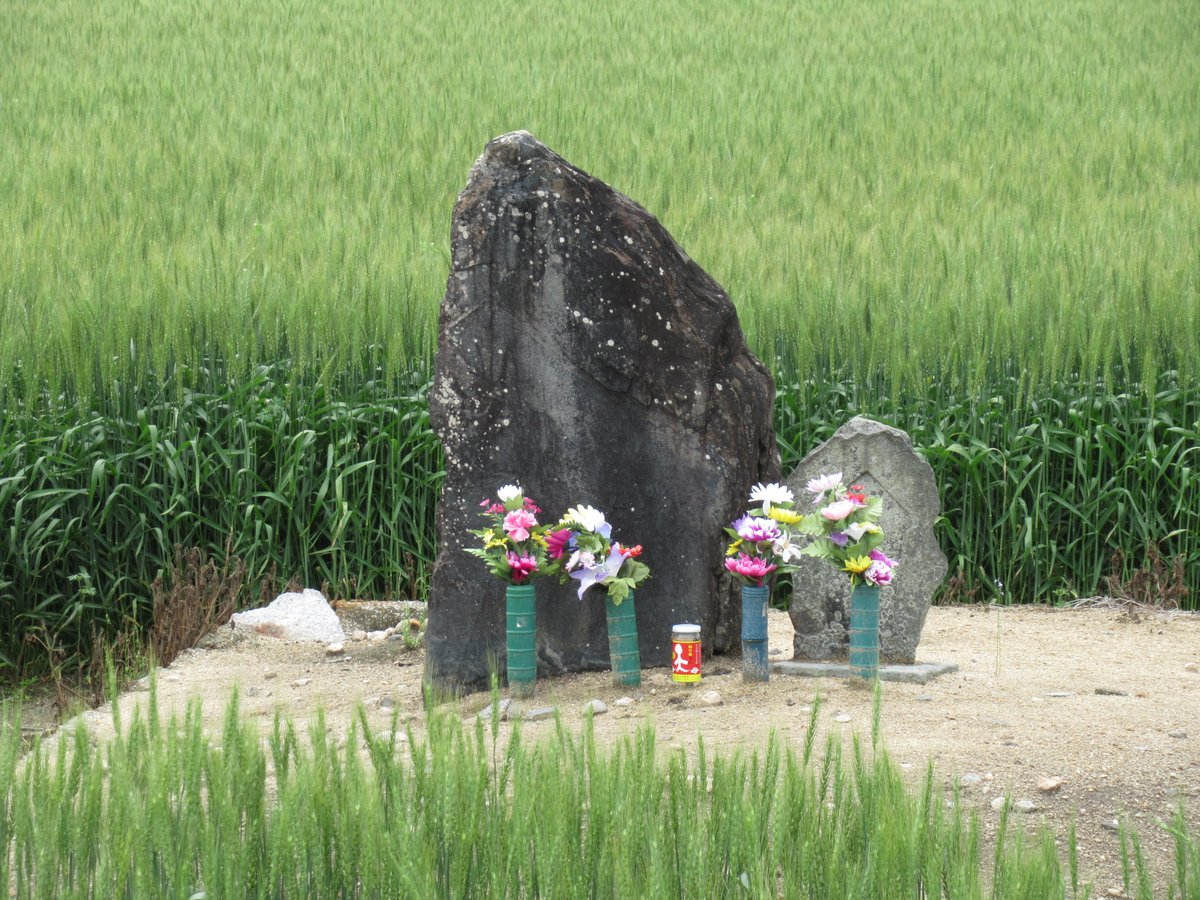 蛇取橋・蛇塚（神埼市）
かつてこの地に、長さ6丁（約650ｍ）の大蛇が棲み着いて暴れ回ったため、村人が総出で退治したという伝説が残る。その大蛇を捕らえた場所にある橋が「蛇取橋」、そこから約100ｍ離れた田の中に蛇の頭を埋めた「蛇塚」が残る。