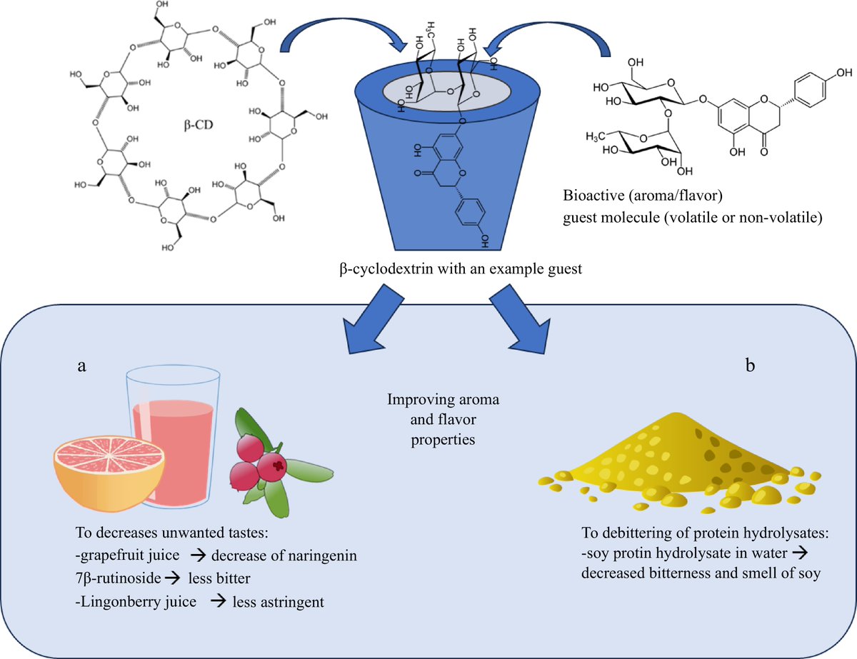 MaximumAcademic's tweet image. #FIA
Cyclodextrins cloak bitter, hydrophobic actives, boost color, dissolve nutrients—food tech Swiss army knife.
@FoodAdvance1 @UniTurku @WileyLifeSci #nutrients #cloak #foodtech
Details: maxapress.com/article/doi/10…
