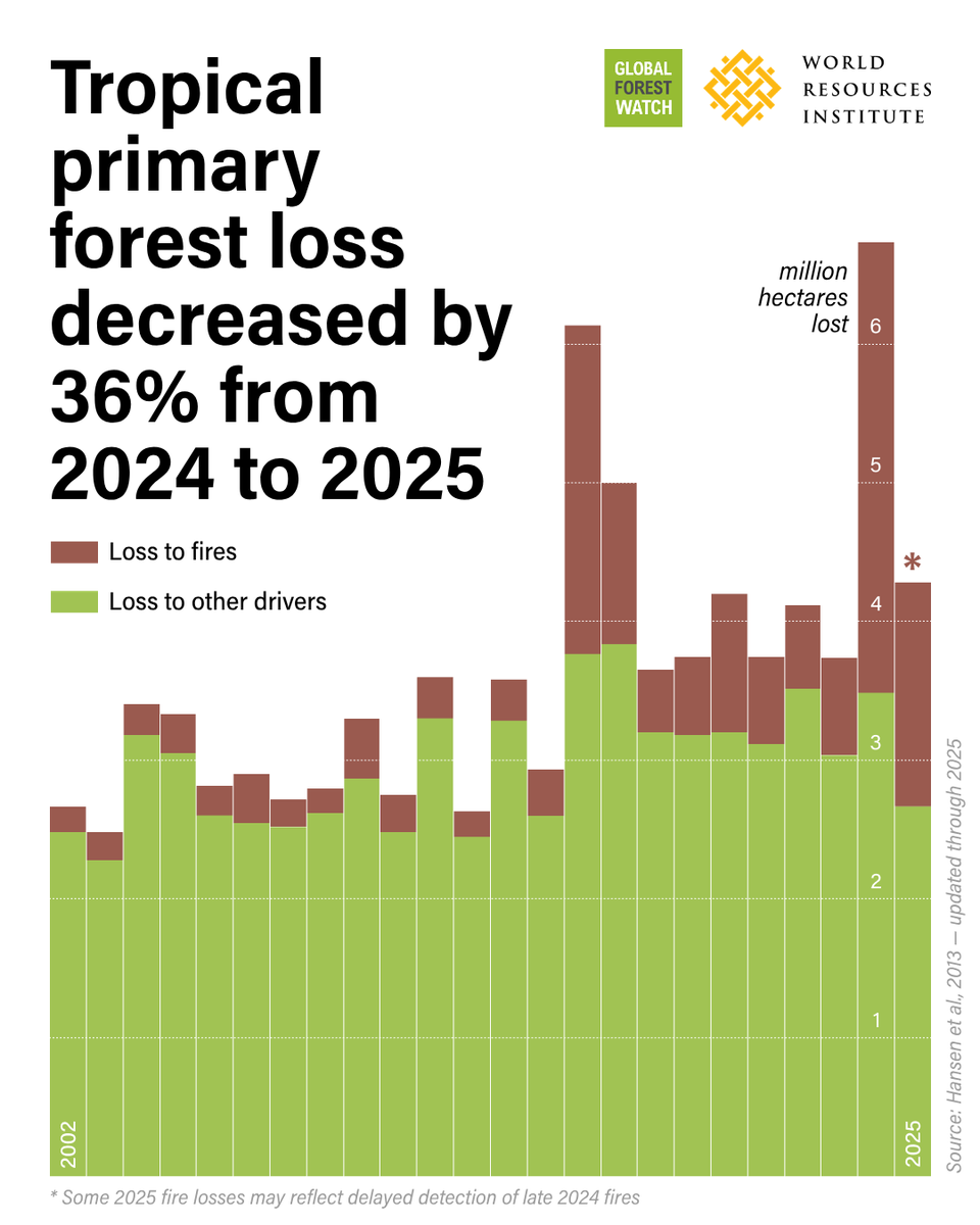 WorldResources's tweet photo. 🌳OUT NOW: The latest data on #TreeCoverLoss from @UMD_GLAD, available on @globalforests.  

Tropical primary rainforest loss fell 36% in 2025 from the record high of 2024. The findings suggest that strong policies and enforcement can curb forest loss. However, climate-driven fires are a dangerous new normal, threatening to reverse recent gains. 

Read the full analysis➡️ https://t.co/Gv7Zy96LS1