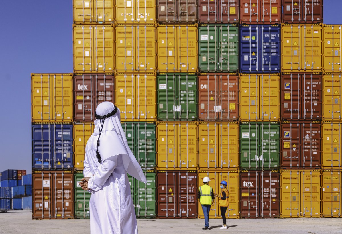 IMF Middle East & North Africa tweet media