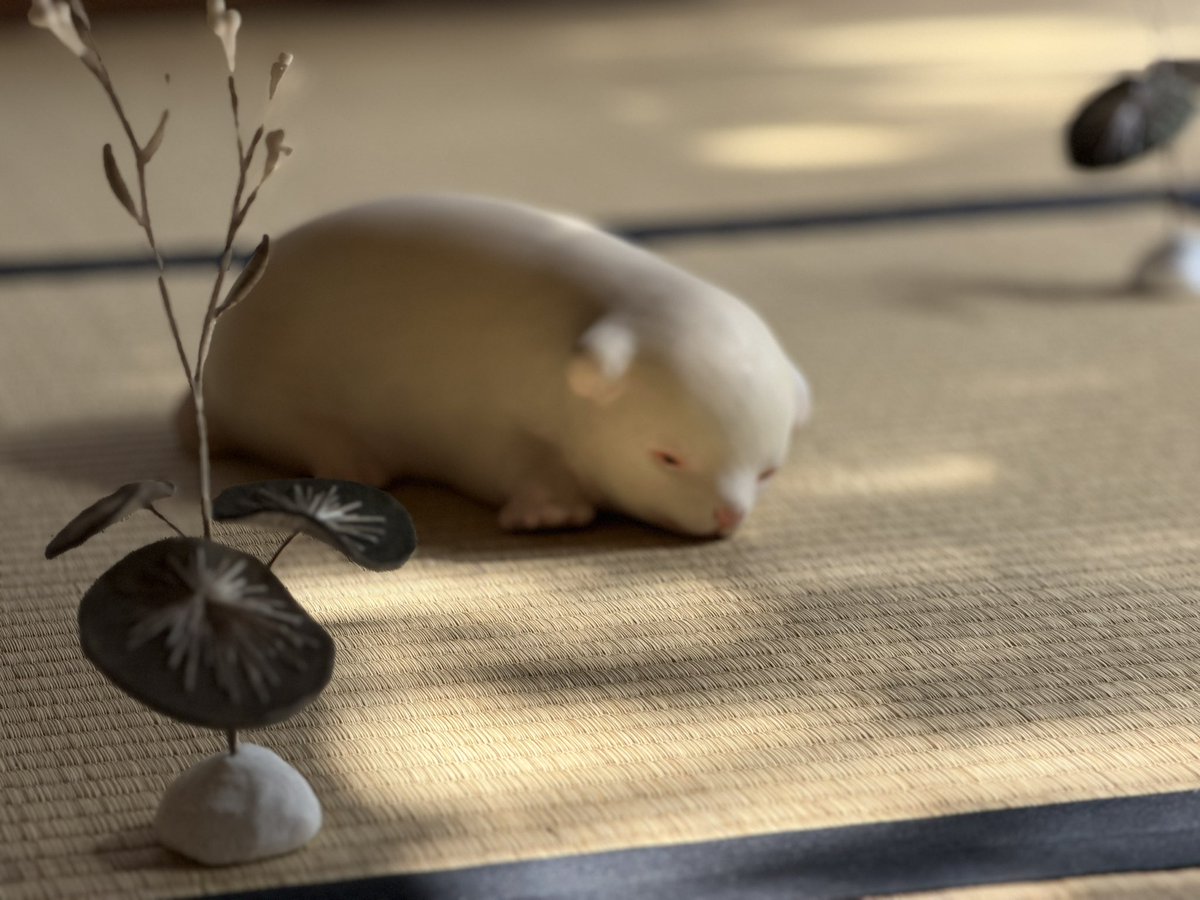 神鹿の斎庭」展、閉幕いたしました。 ご来場いただいた皆さま