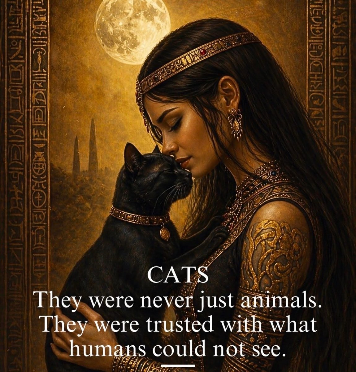 🧬Maxpein🧬 tweet media