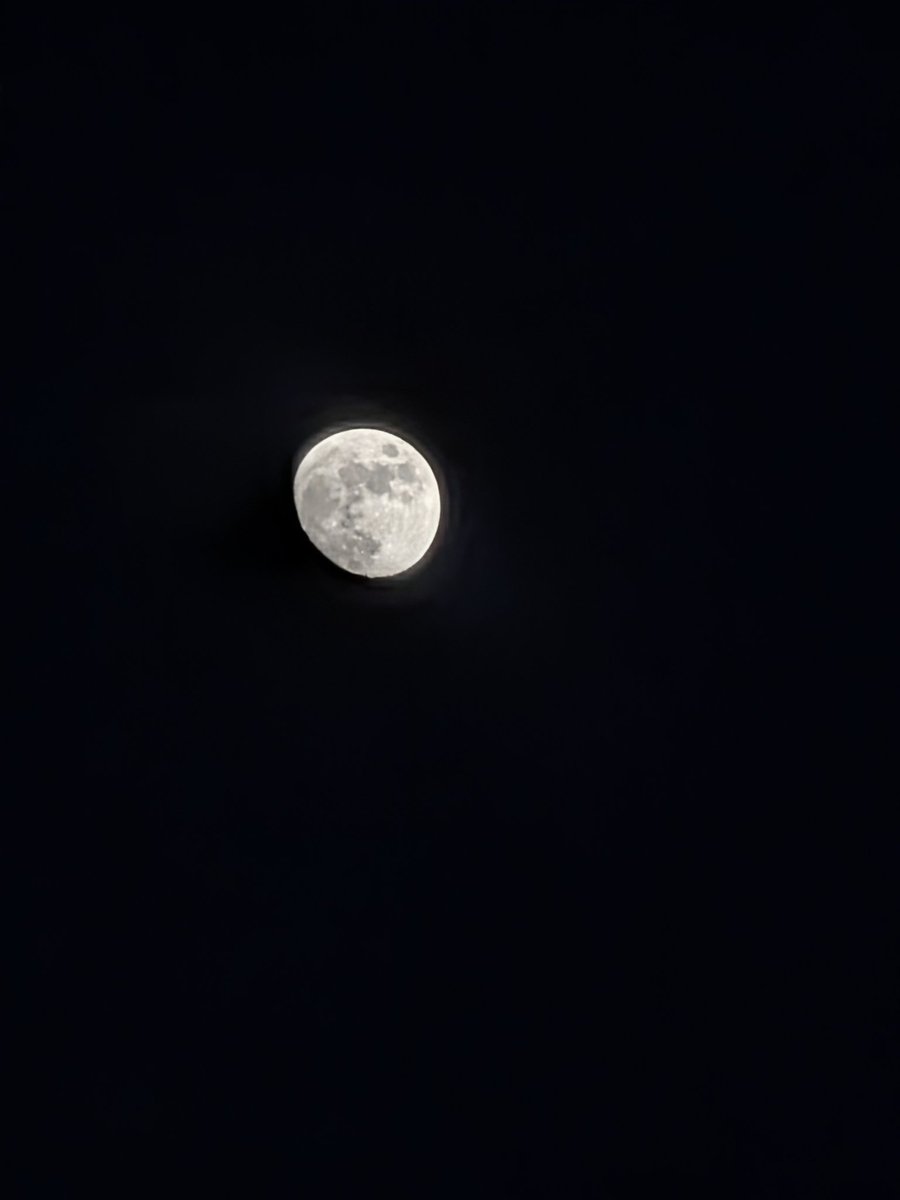 BadmaevTse30491's tweet image. #Night pixel 10 photo