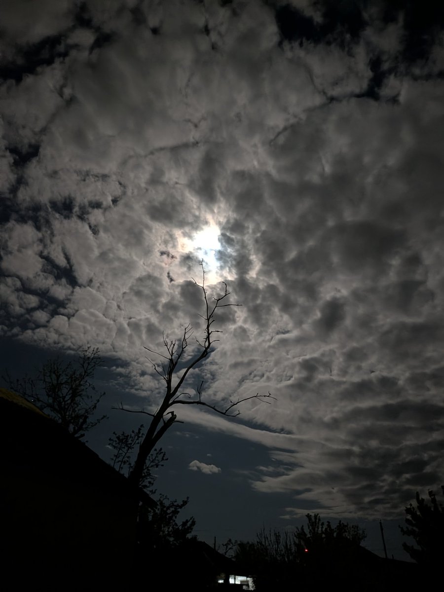 BadmaevTse30491's tweet image. #Night pixel 10 photo