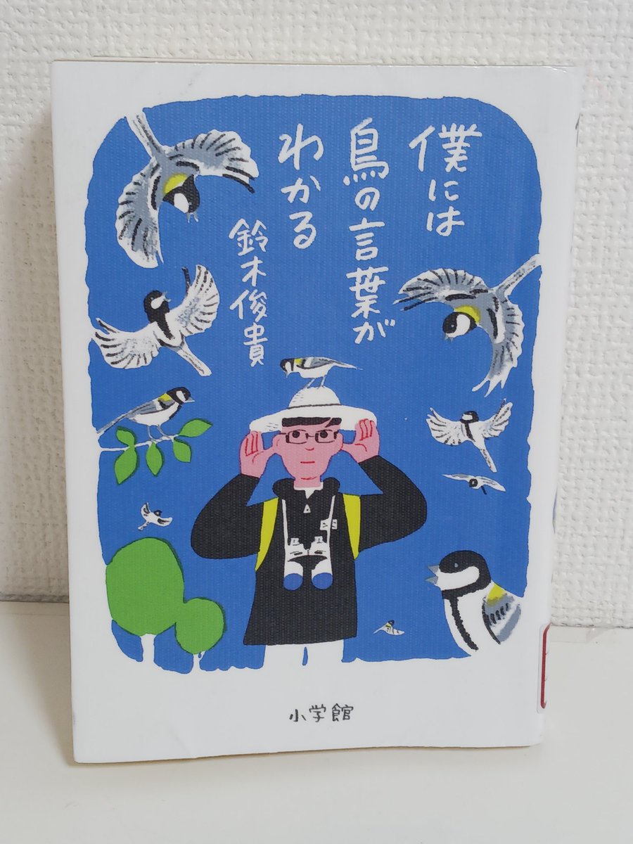 鳥、鈴木 鈴木俊貴 Toshitaka Suzuki (@toshitaka_szk) / Posts / X