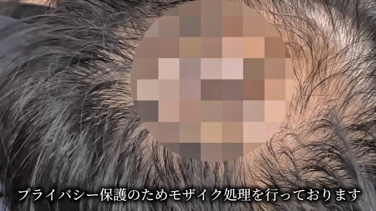 コウジ＠夏は鮎師 tweet media