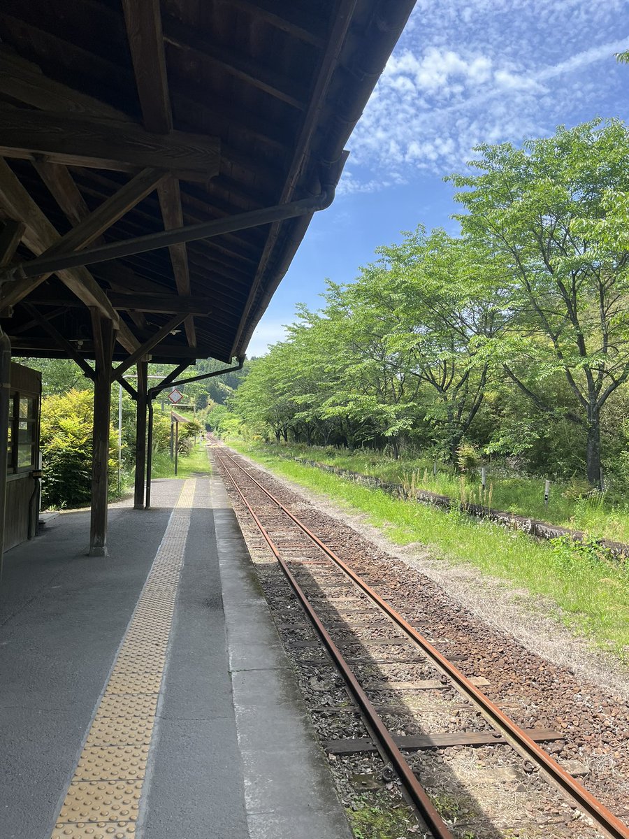 明智　幽実 tweet media