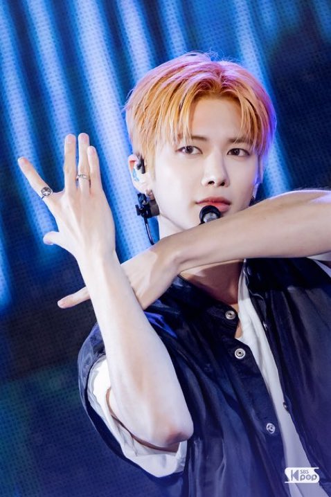 쵸아 tweet media