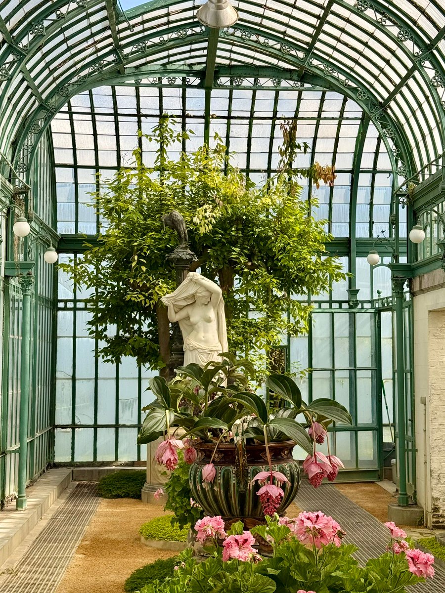 TravelTomorrowX's tweet image. A hidden gem inside the royal grounds 💐
📍 Royal Greenhouses of Laeken, Brussels, Belgium
📸 Travel Tomorrow
@welovebrussels @visitbrussels #Laeken #Belgium #flowers #Greenhouses #RoyalGardens