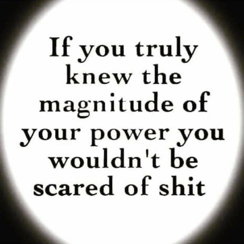 🧬Maxpein🧬 tweet media