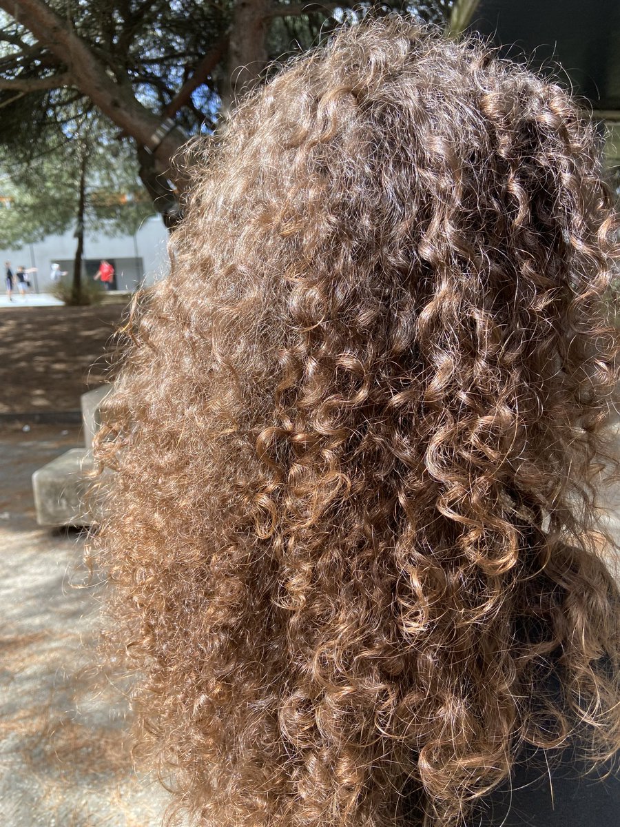 blair ꪆৎ tweet media