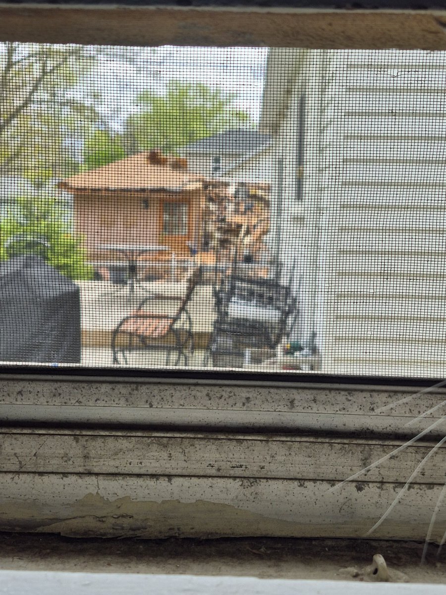 LisaBFAB's tweet image. 100 year old home gone. The older homes here are so beautiful. #home #RoyalOak