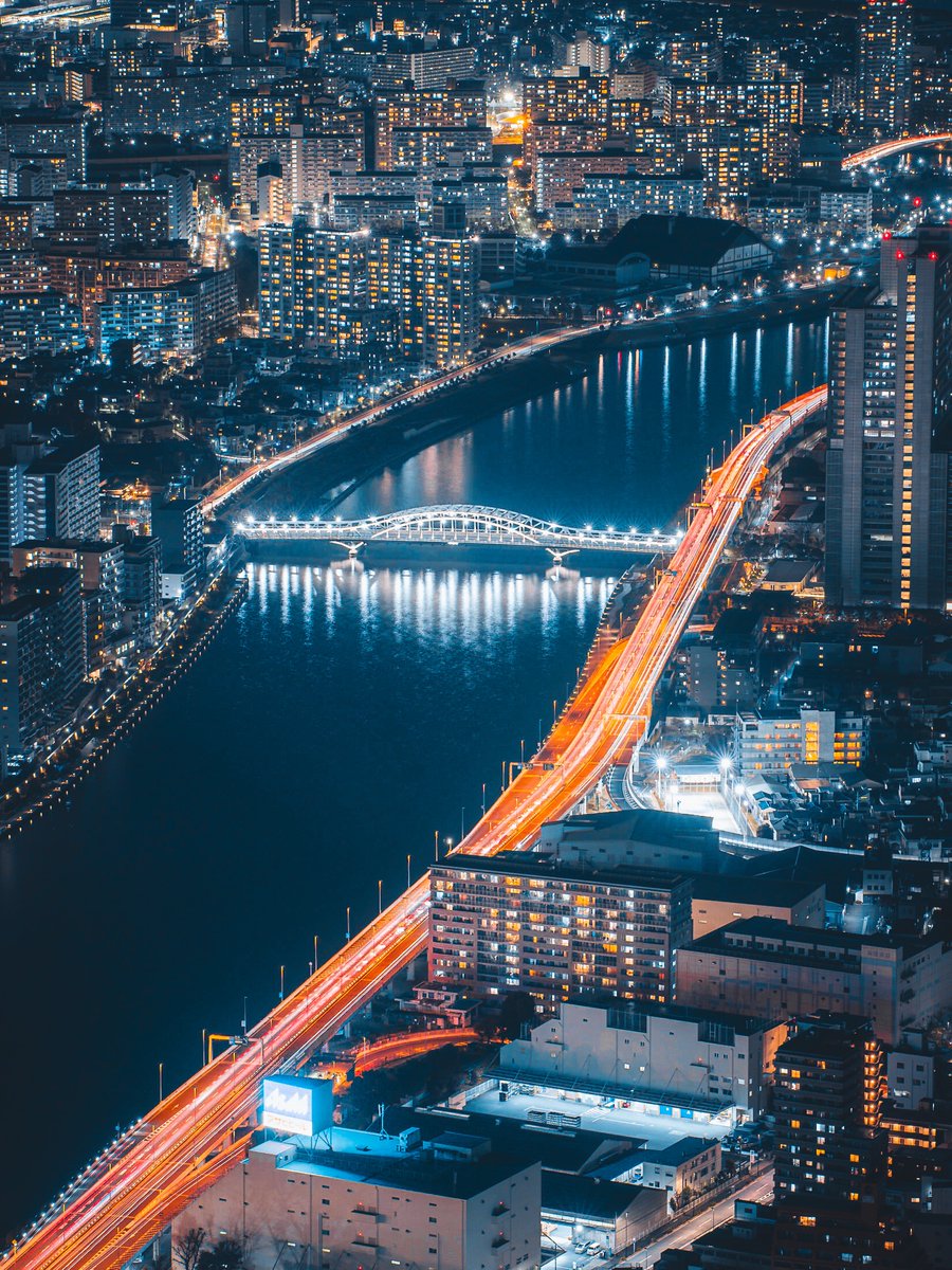 Wildscape Wonders tweet media