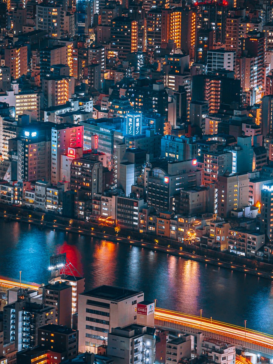 Wildscape Wonders tweet media