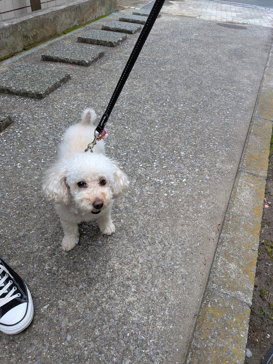 y_k.0505 tweet media