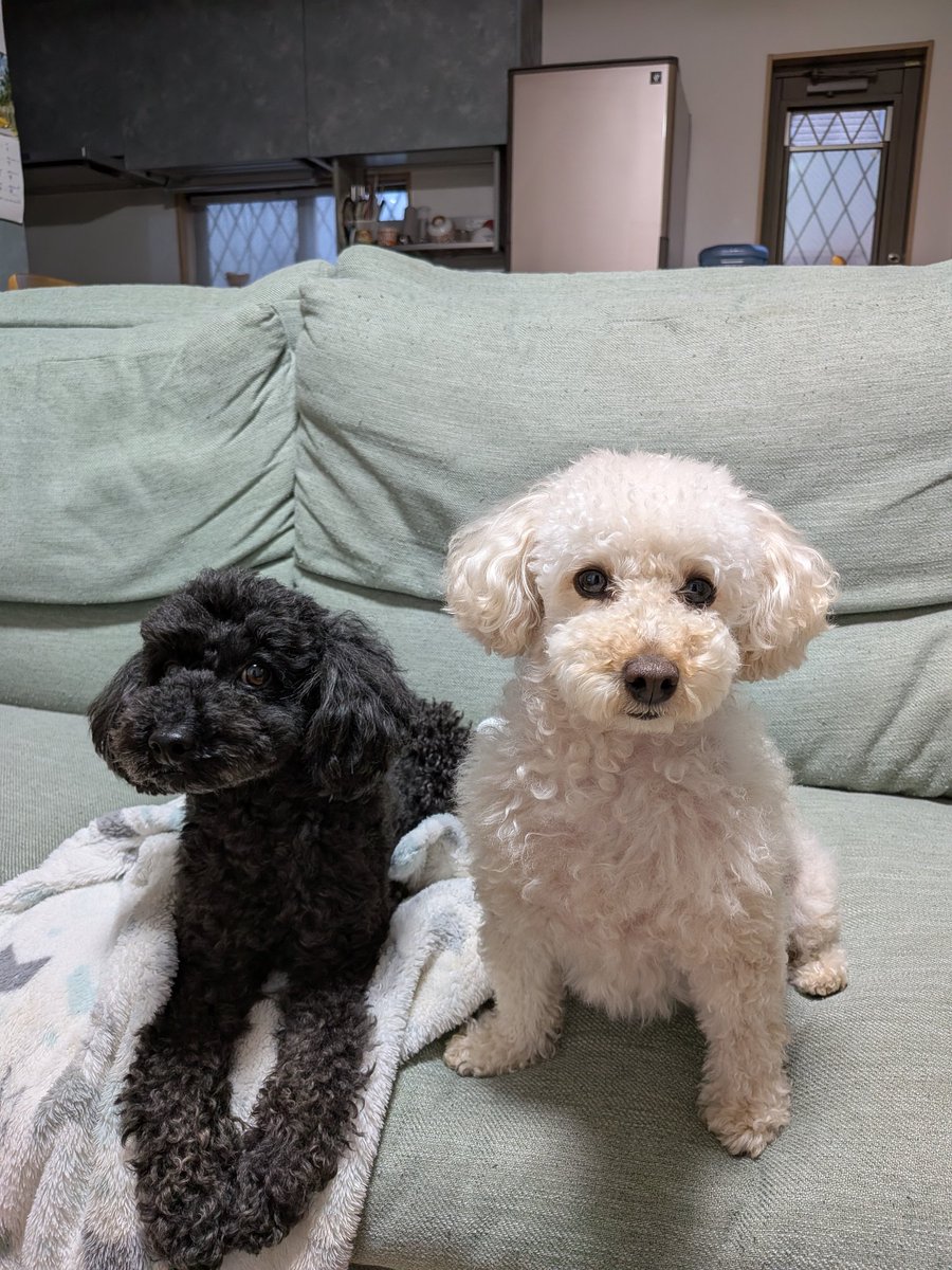 y_k.0505 tweet media