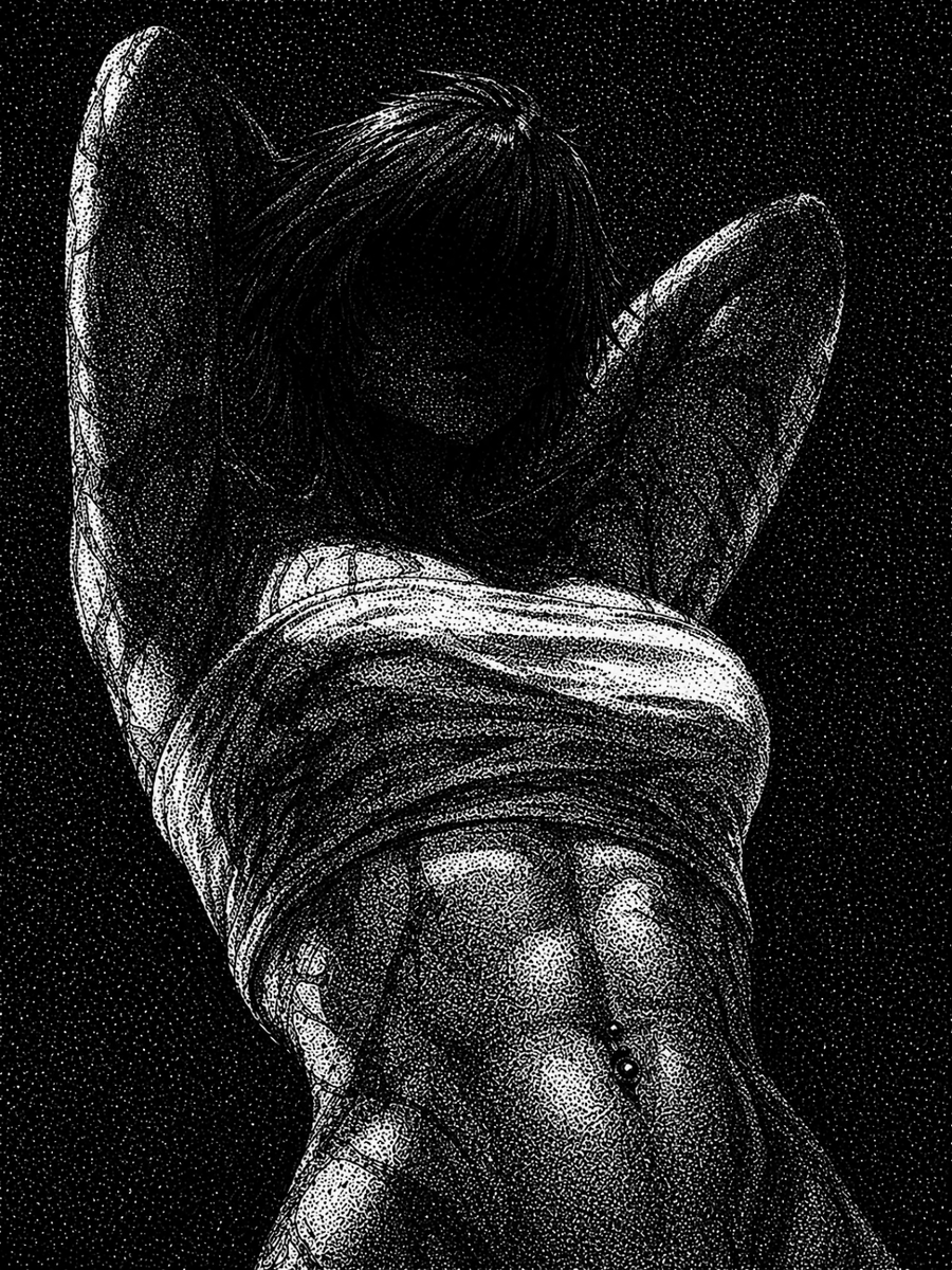 nocturnal tweet media