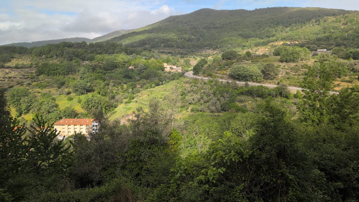 springmeister's tweet photo. Our friend @PColak13 is walking the Camino in Spain for @manechance  He’s well over half way of the 650 miles!!! And he walked with an injury. Here’s a link to donate if you can https://t.co/rdtGQCdmtK https://t.co/wVrvelh7WZ