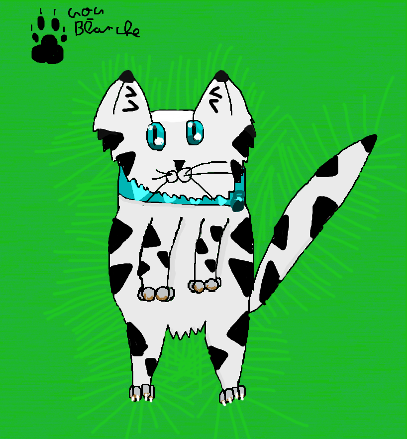 Nalkotheliger's tweet image. Redesign de Grisson et valentine ! Je vous donne des art de 2012 !

#art #kitty #artcat #redesign #smallartiste