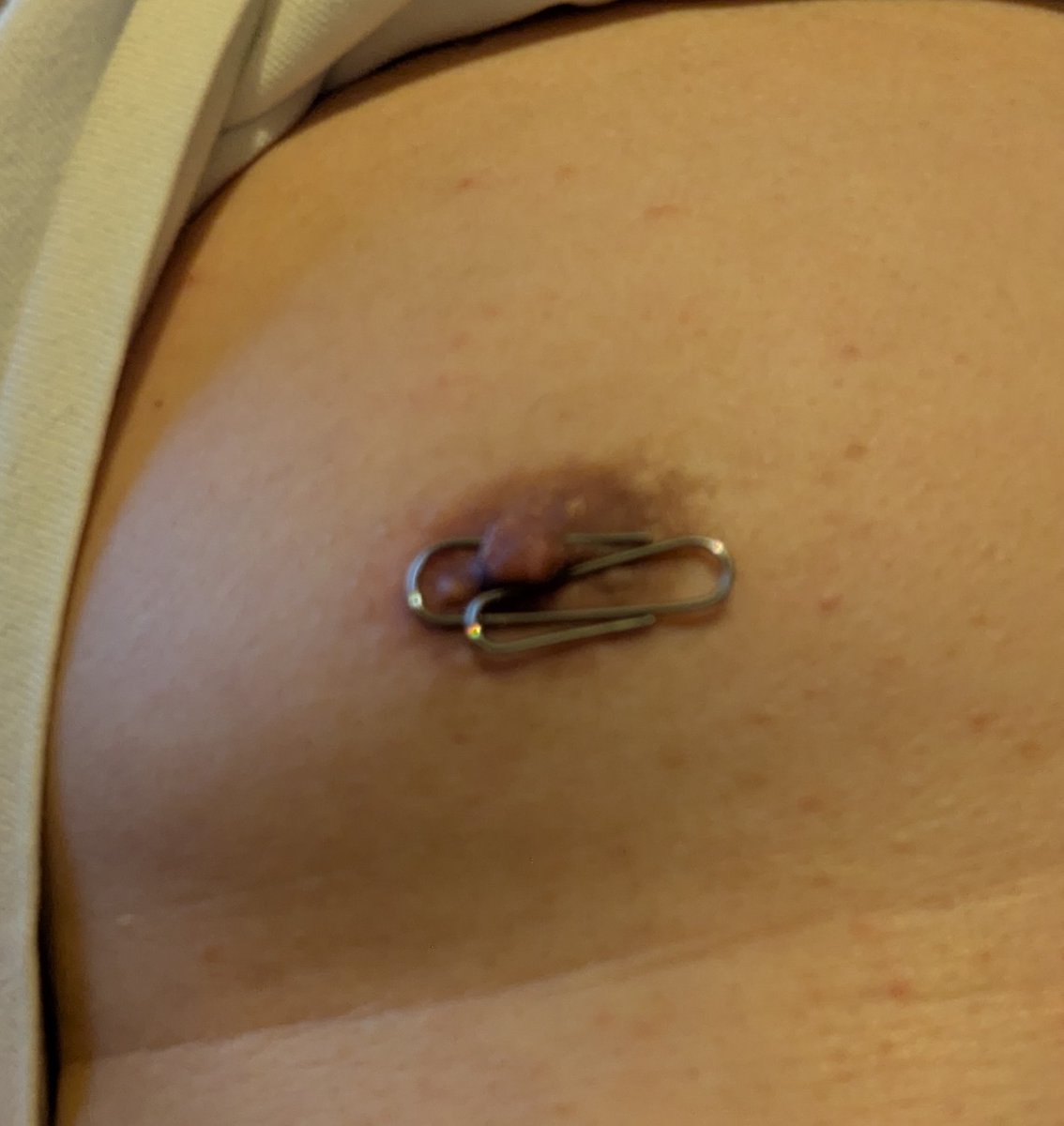 アルナイR18 tweet media