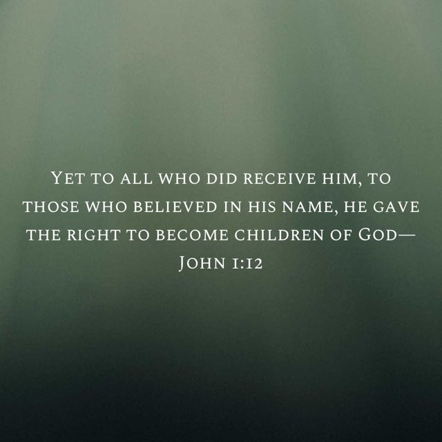 Texas Patriot tweet media