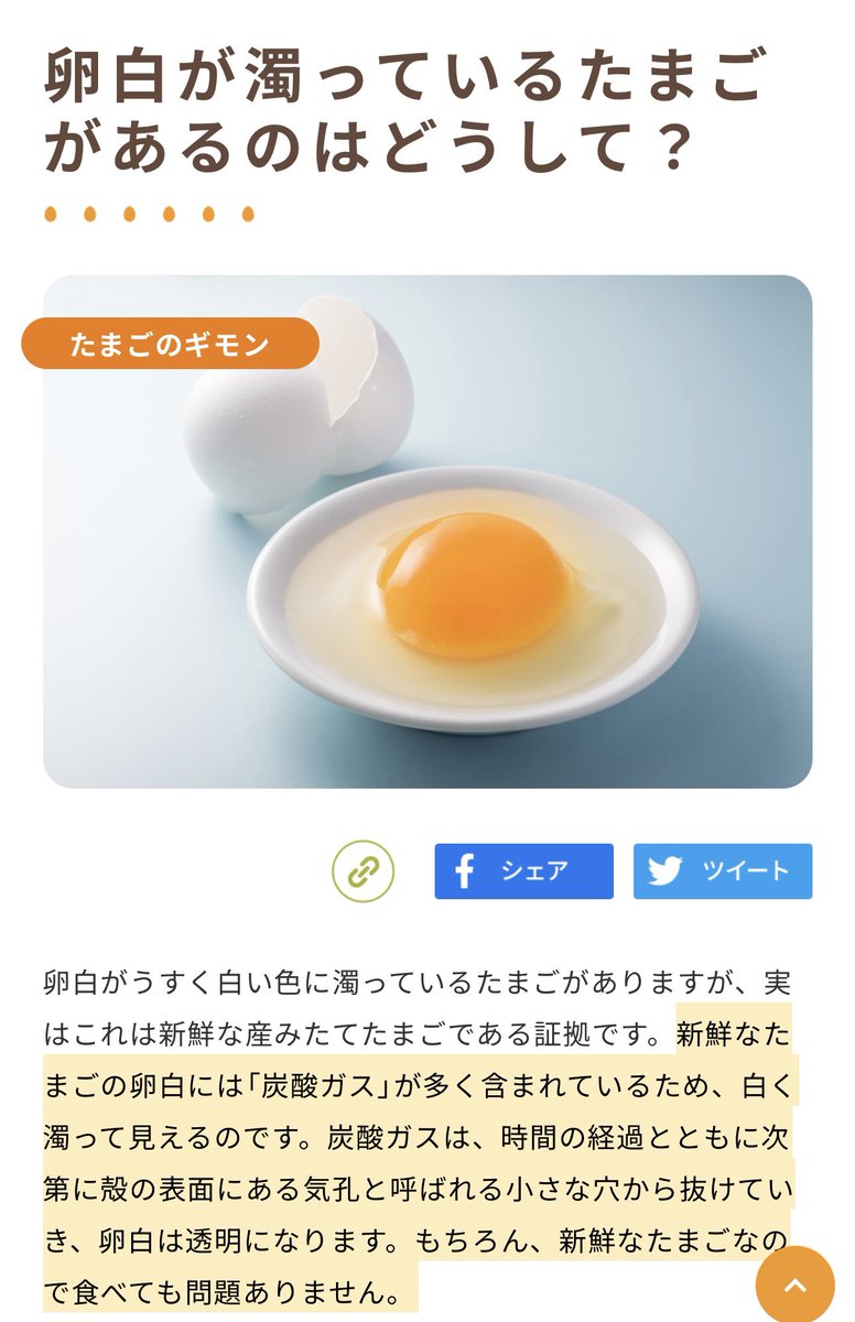 シオン（紫苑） tweet media