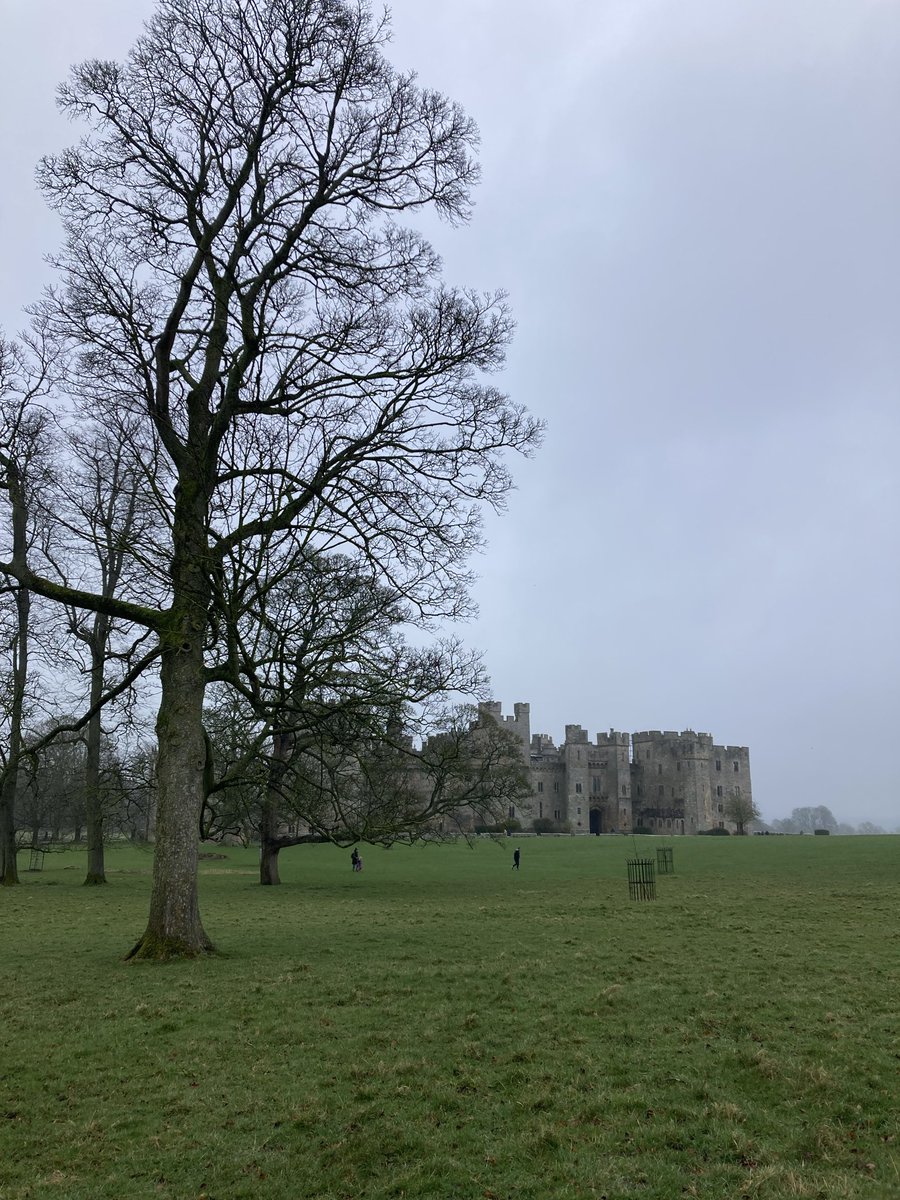 S_Huntley10's tweet photo. Morning walk through Raby Castle, Park &amp; Gardens hauntingly beautiful 🥾🌲🦌 
#raby #castle #Darlington #deer #wildlife #walking #garden #outdoors #nature https://t.co/sO22DF0bjF