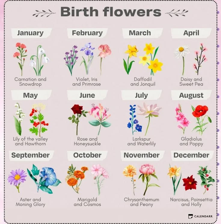 3ᥣі᥊ᥡ_ᥱᥒ7_🇵🇭 tweet media