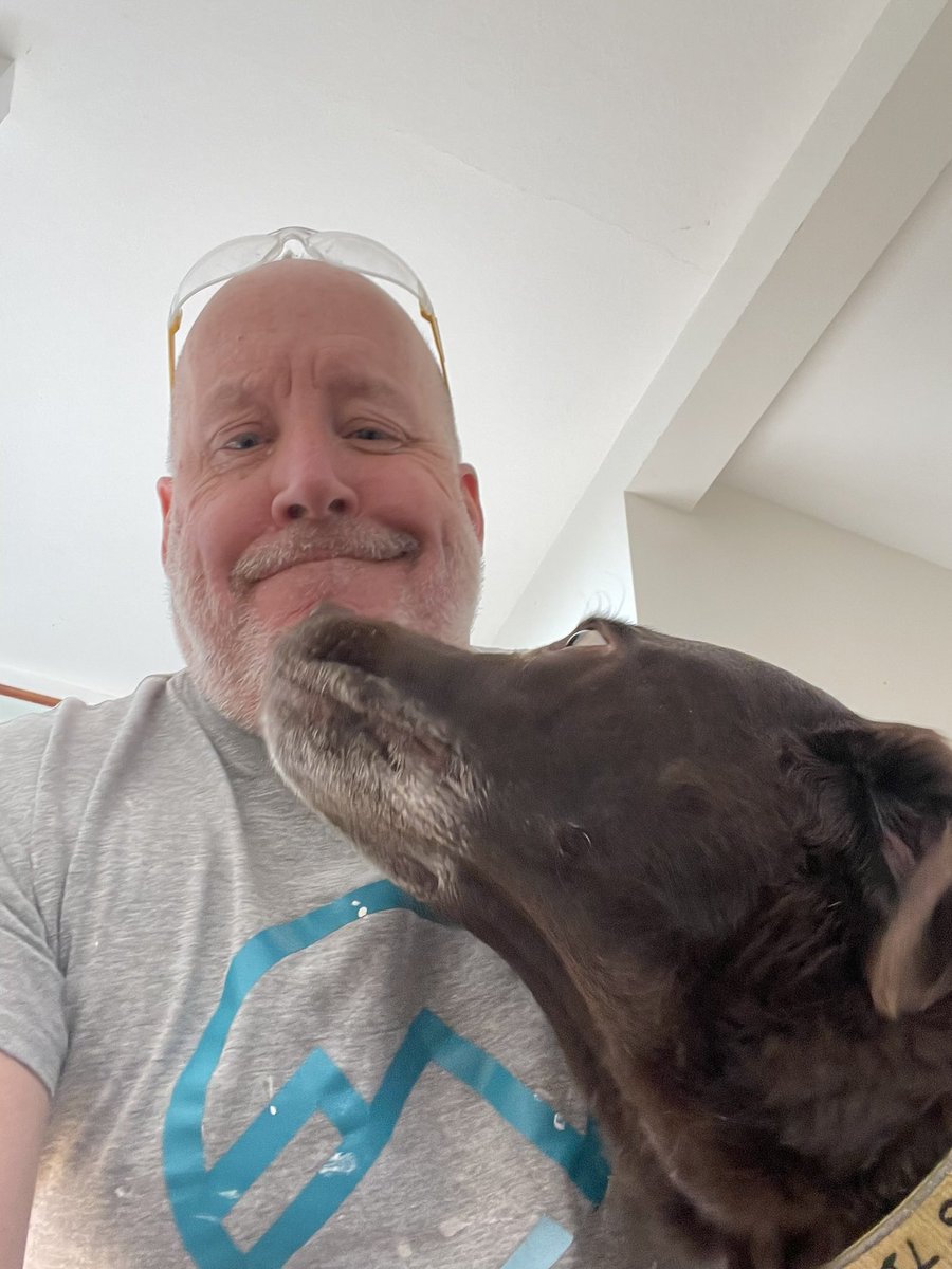 AlpinePainter's tweet image. For the record Labradors are rubbish at masking skirting boards…. But you can’t fault their enthusiasm 
#labradors 
#masking 
#dogs