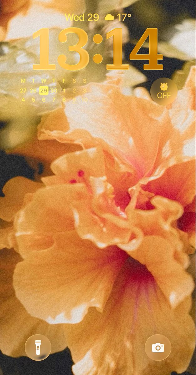 vivi ⋆˚࿔ tweet media