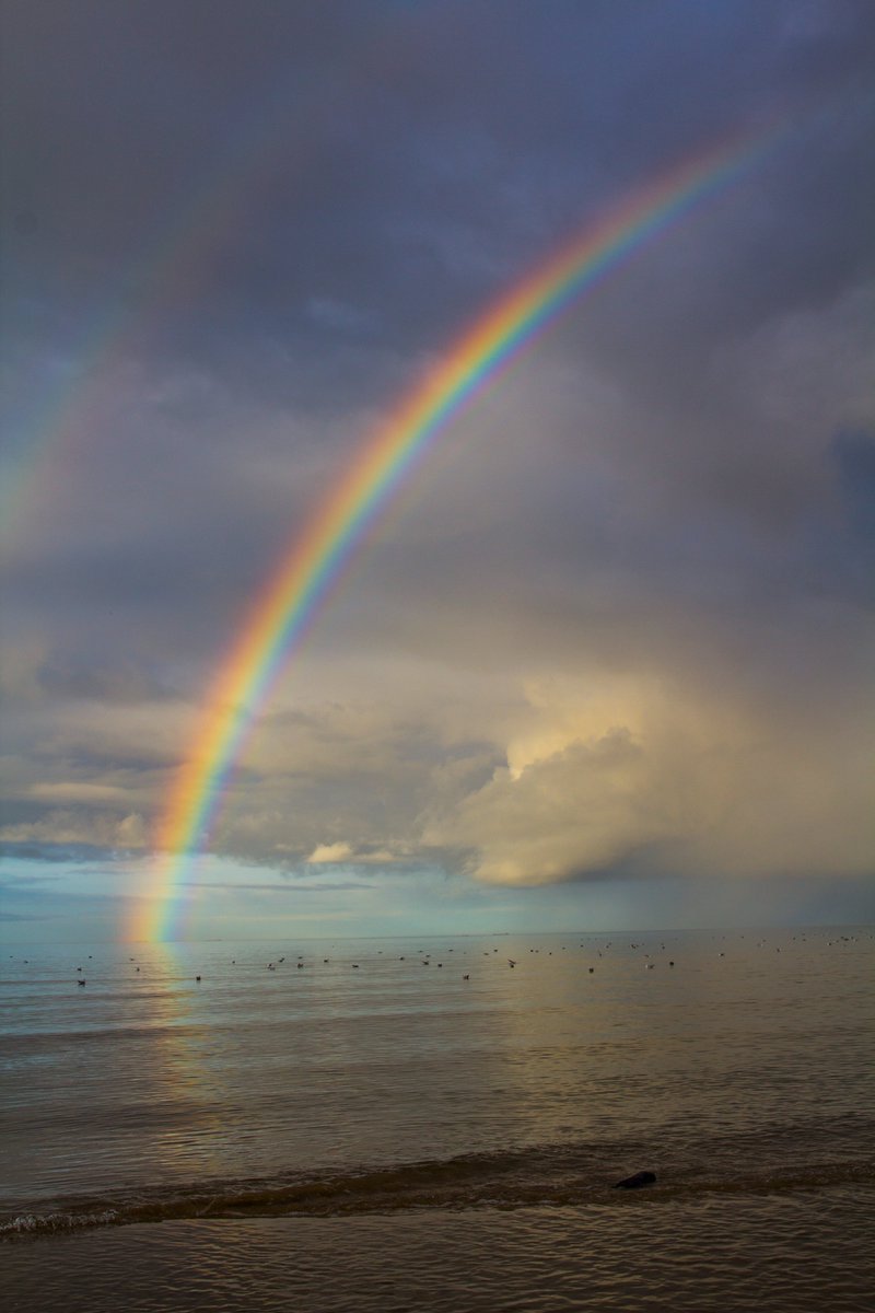 Run_fly_Smile's tweet image. Rainbow lights 😊
Baltic Sea        
Latvia 🇱🇻 

#Latvia #Sea #BalticSea #Rainbow