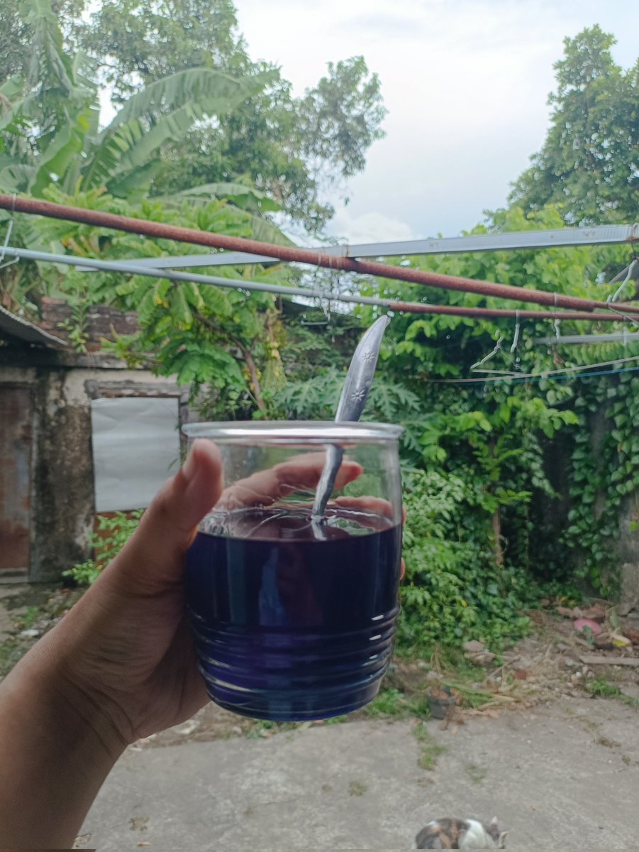 Pempek Kapal Terbang tweet media