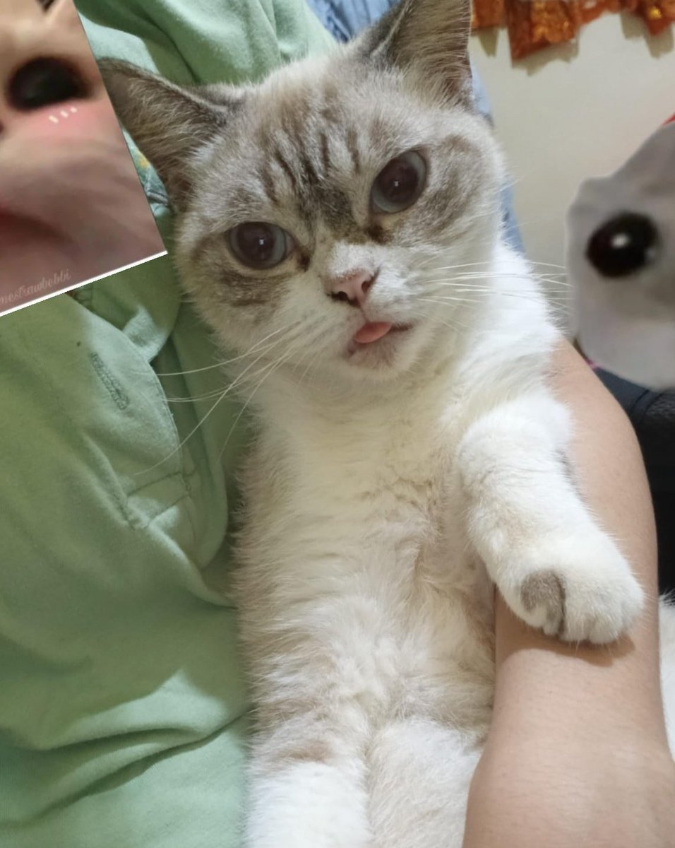 CIA_art | VGen open tweet media