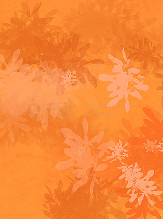 Anne Bouquet  tweet media