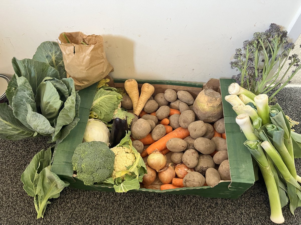 donnablagblag's tweet image. £22 bought my veg directly from a local farmer mine box had beetroot,aubergine,parsnips onions purple broccoli,brocoli potatoes,cabbage,cauliflower and a kilo of leeks. 
#buylocal  #NoFarmersNoFood