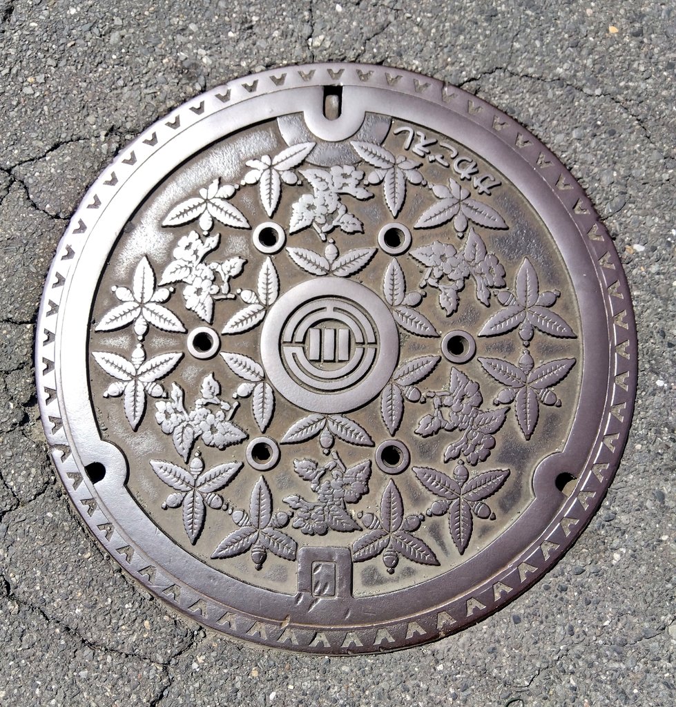 ebiflyeffect's tweet photo. #マンホール 埼玉県川越市 https://t.co/mPDF30cbvW