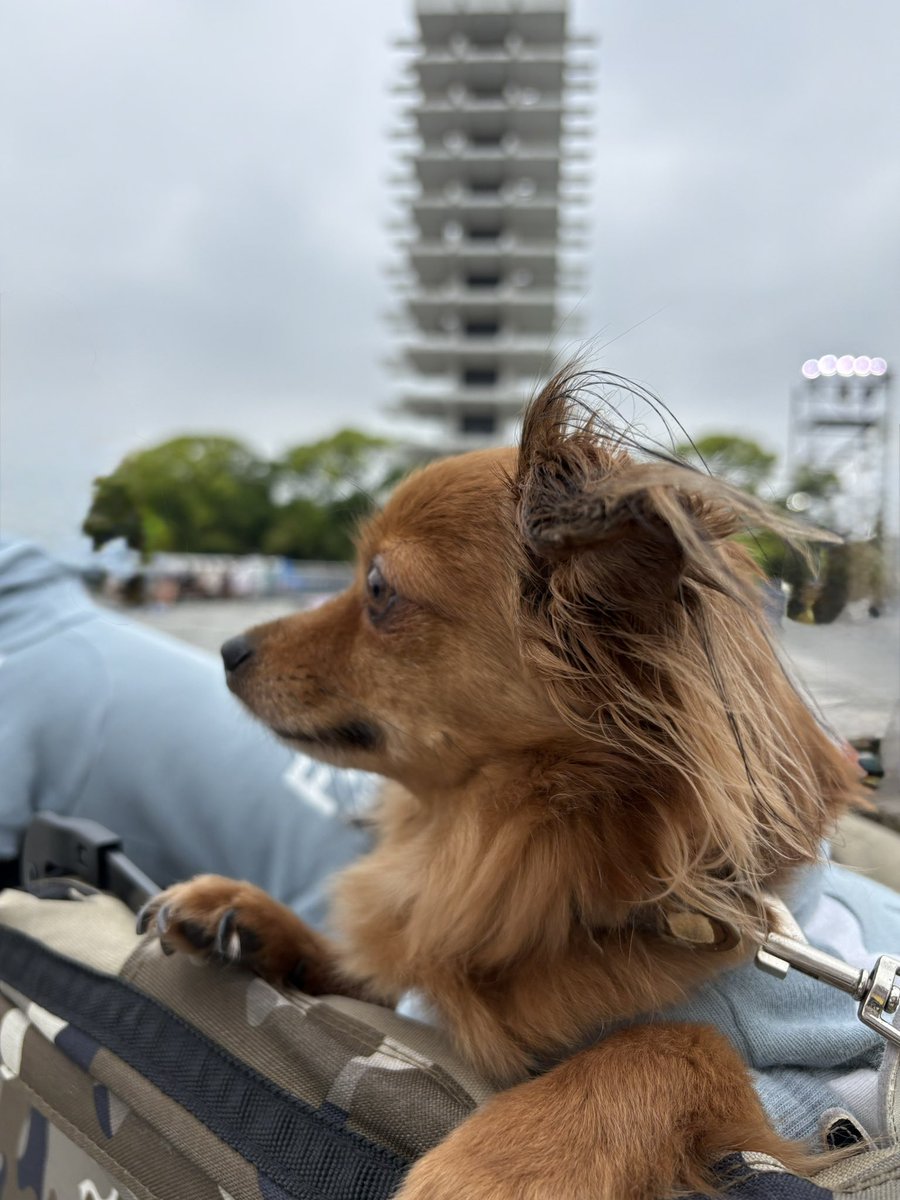 Yu♡ママみん→ tweet media