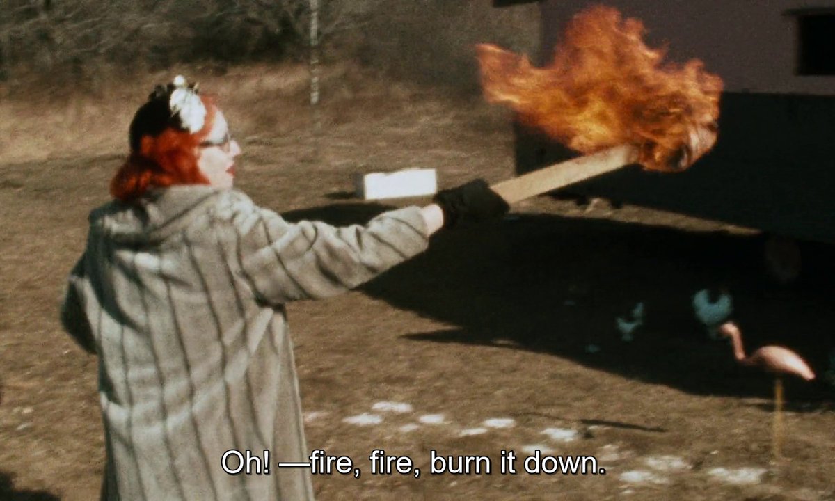 Your daily John Waters screenshot tweet media