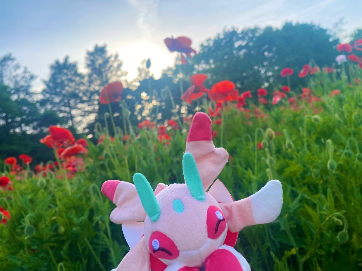 いちのせ tweet media