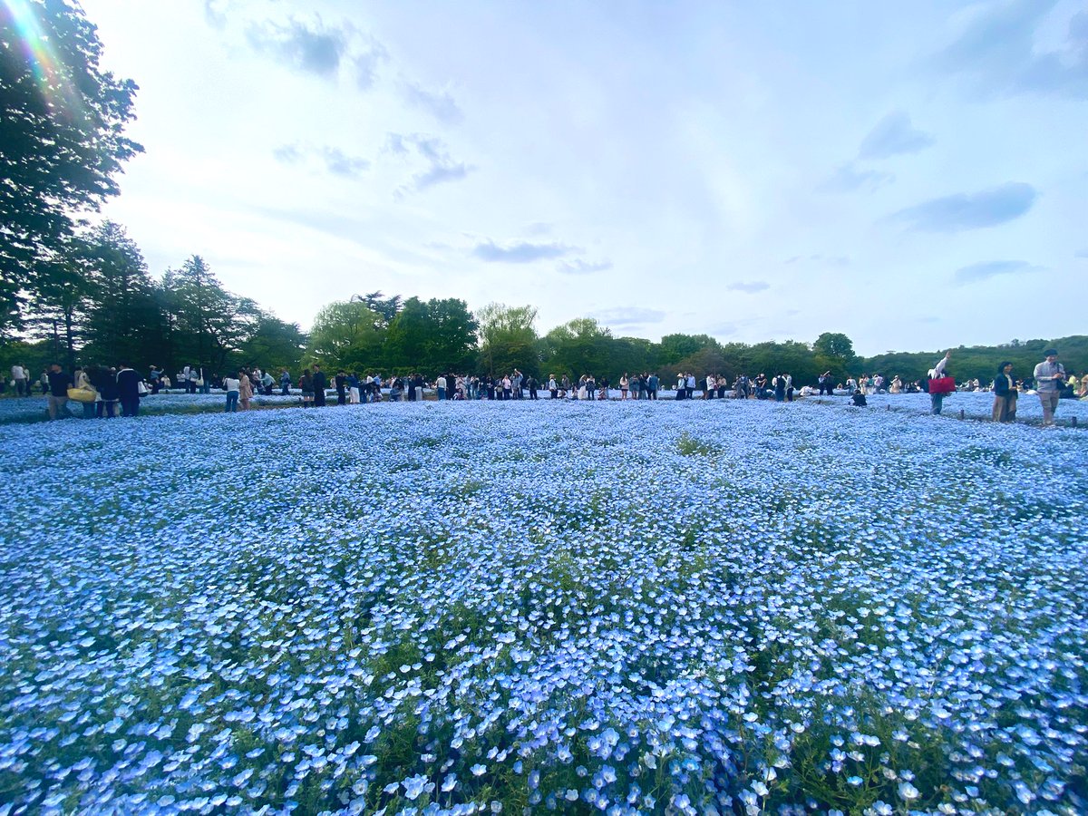 いちのせ tweet media